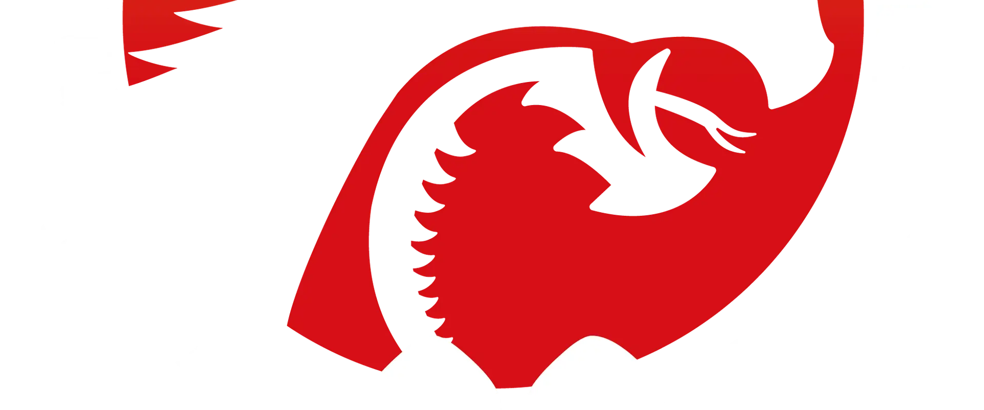 Dragon Boxing