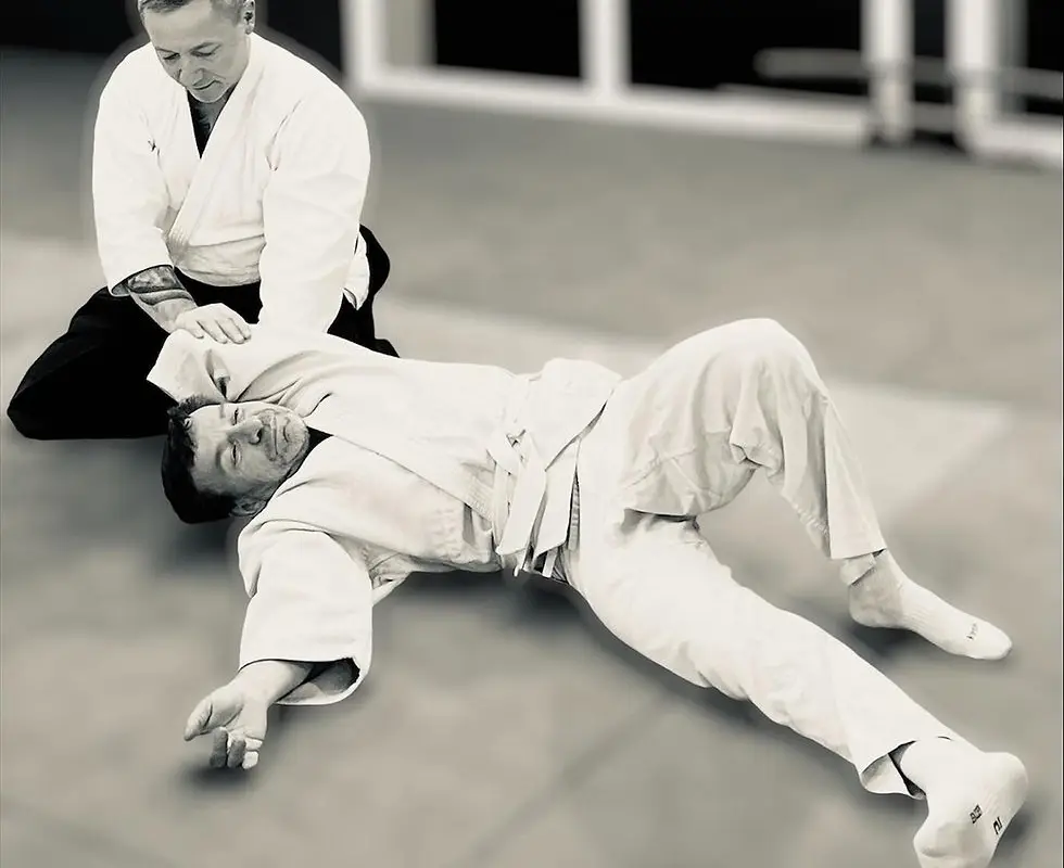 Aikido Saint Georgeois