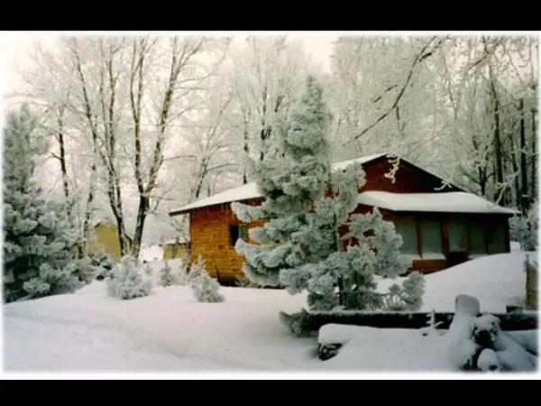 Cosy Cove Cottages
