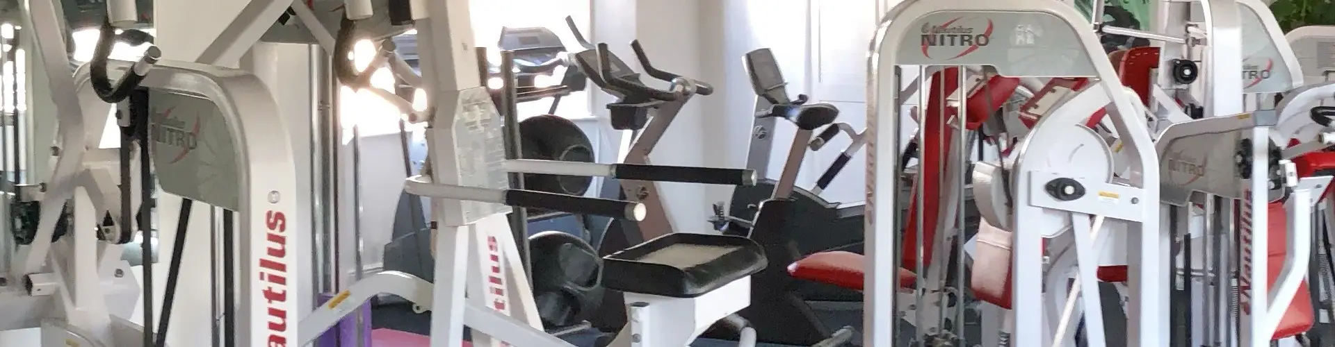 Alive Gym