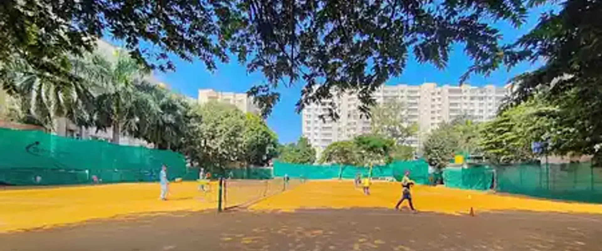 Super Kings Badminton Academy