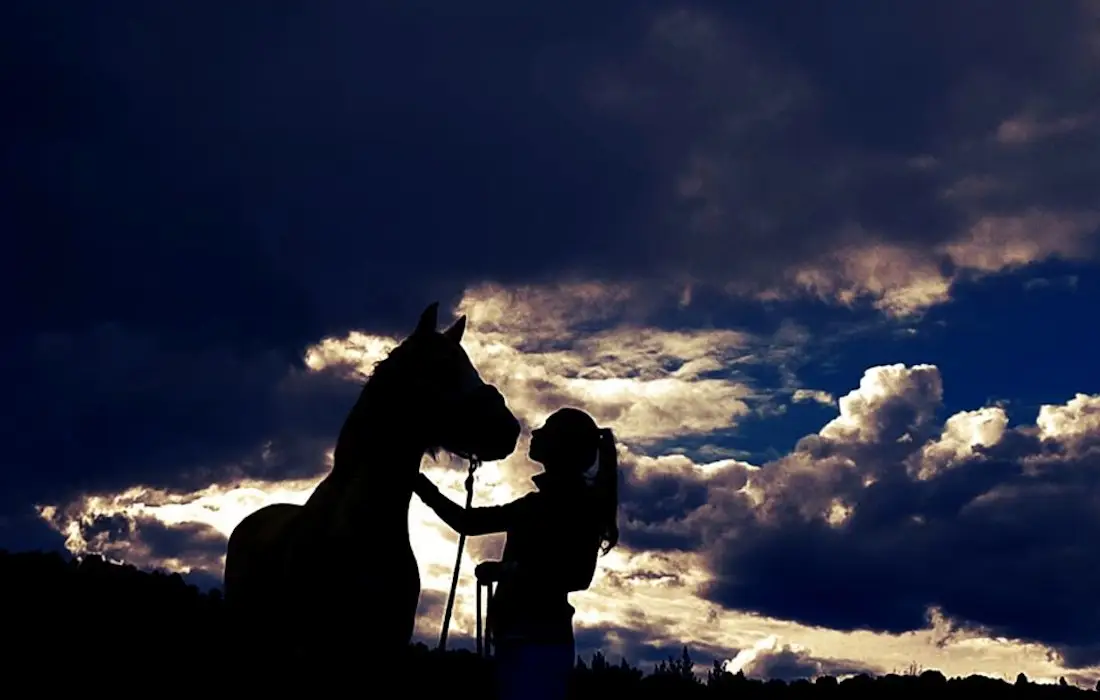 Claire Saint-Yves : Mental-Equi-Coaching