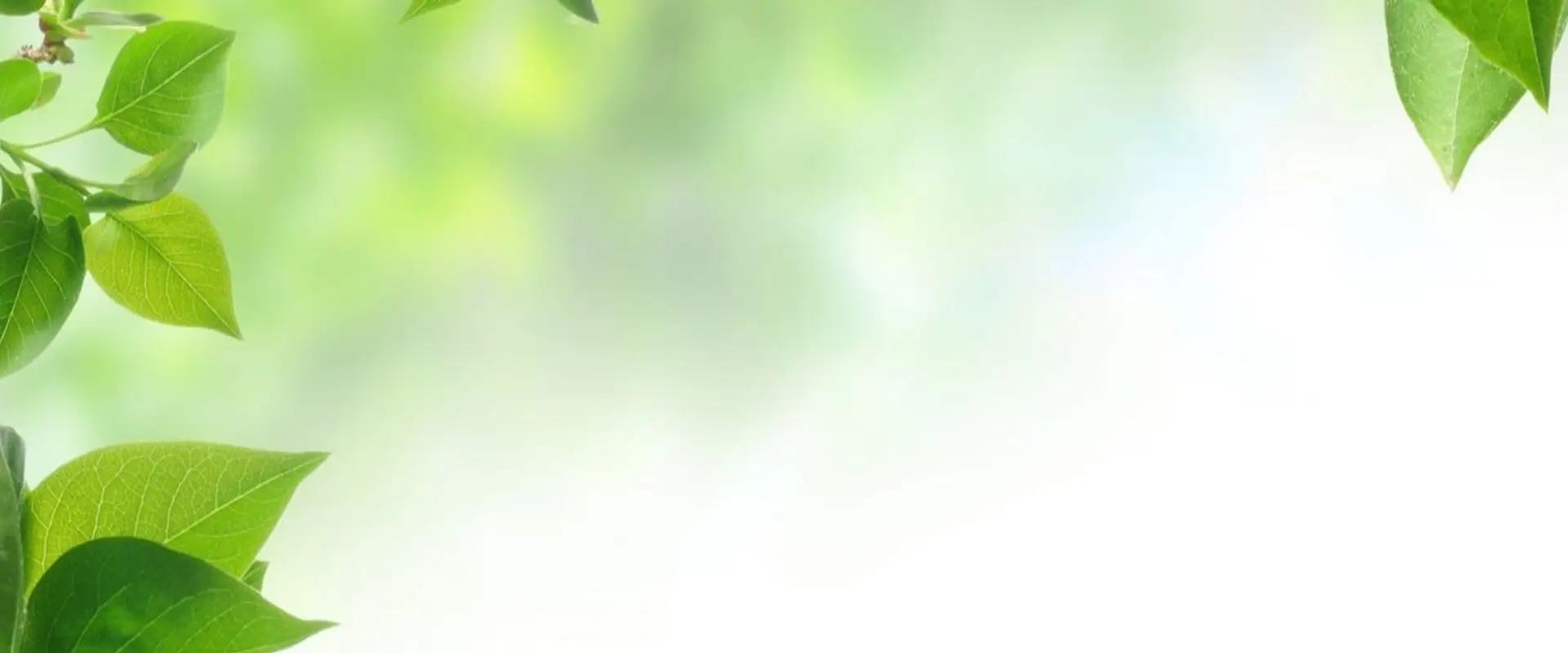 Life Essence Natural Therapies & Counselling Centre