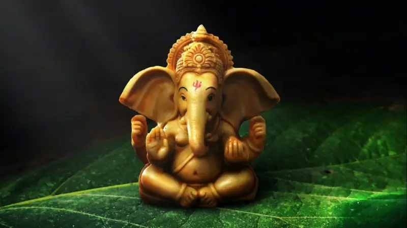 Namah Yoga Lvis - School Hatha Yoga