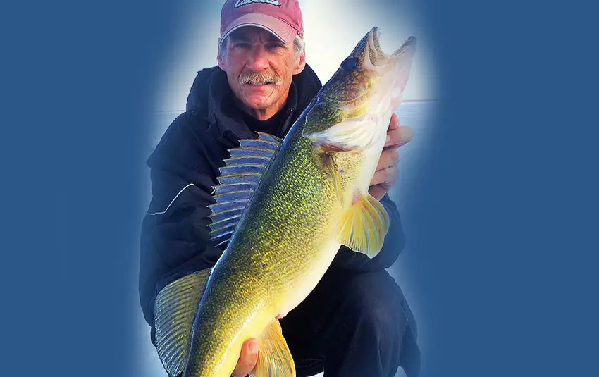 Advanced Bassin' Plus