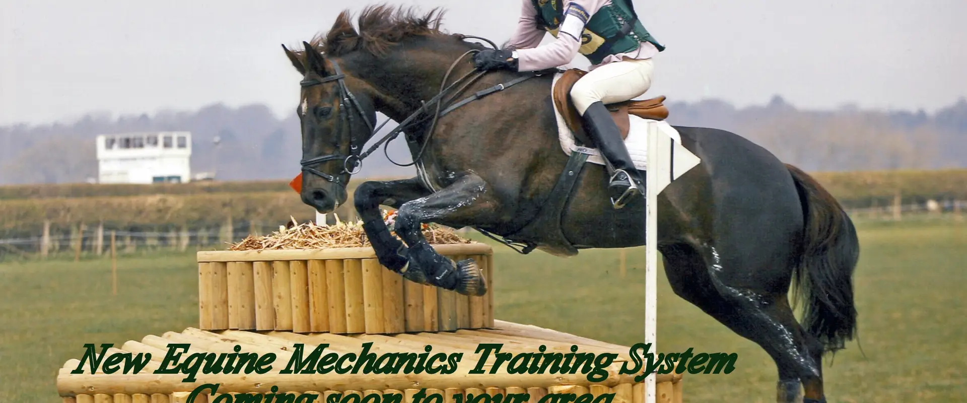 Ridewell Training