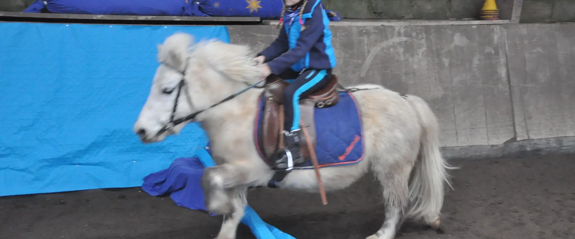 Equestrian Center Cheval Bleu