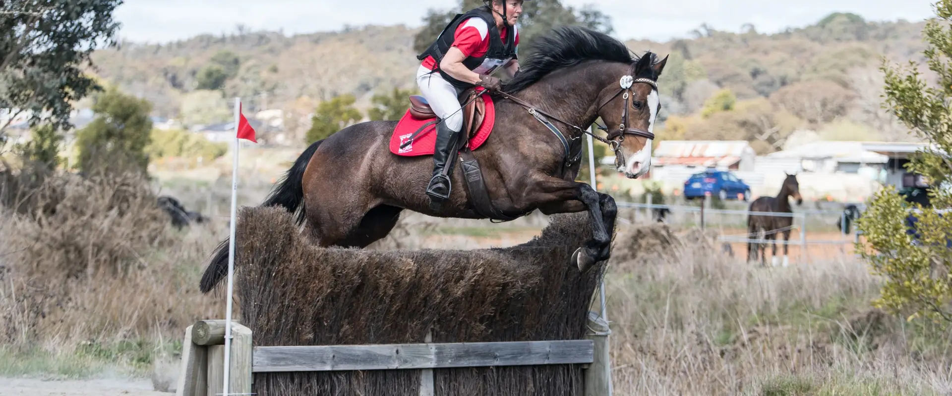 Tandivale Equestrian Centre & Pony Club