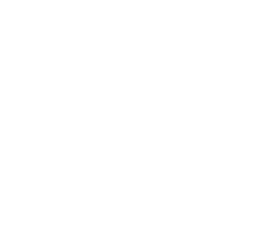 D.D.A.P.S