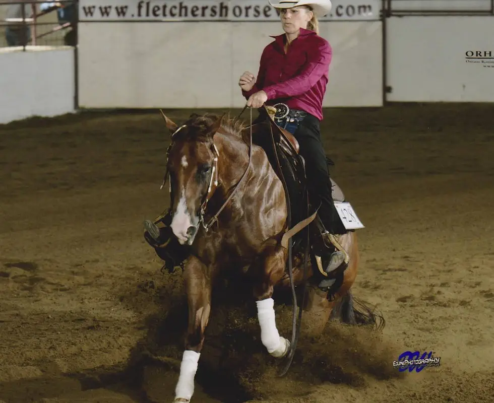 Jonas Performance Horses