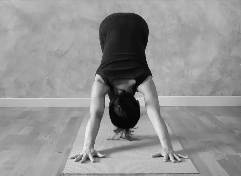 Yogashizen