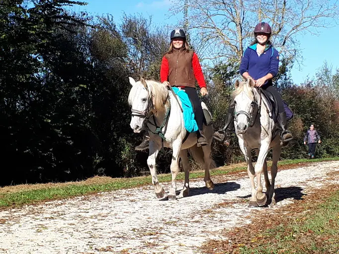 Recreation Horse De Chauray