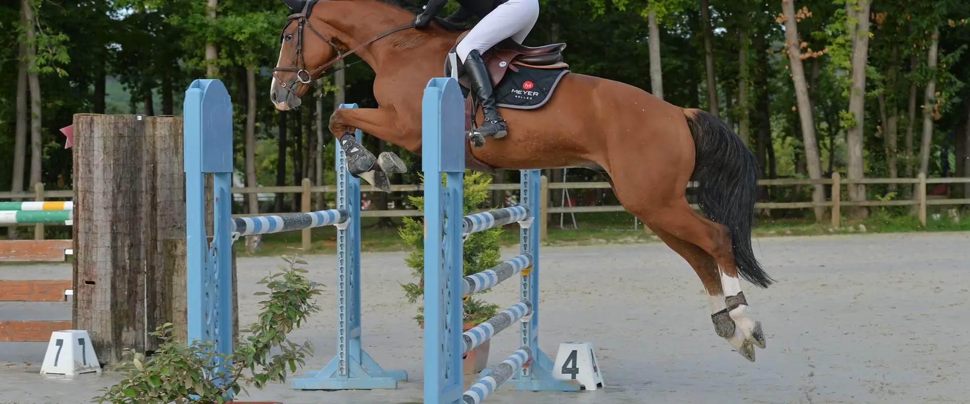 Equestrian Center L'escapade Ecurie Charlotte Rostin