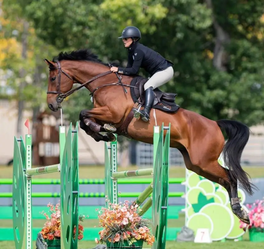 Bow Canyon Equestrian