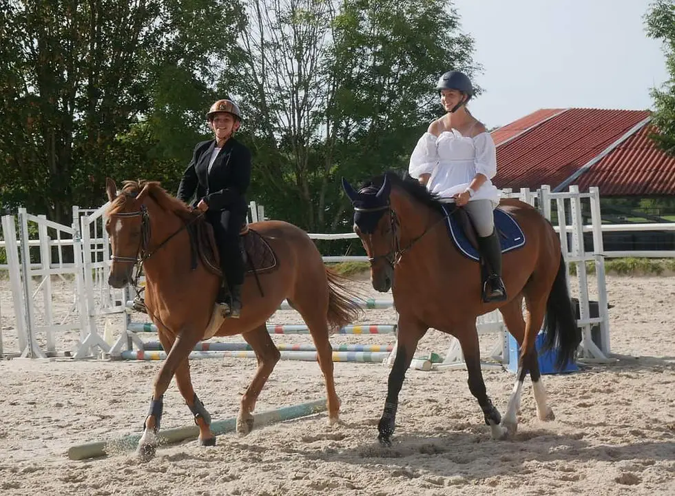 CERCLE HIPPIQUE NOGENTAIS