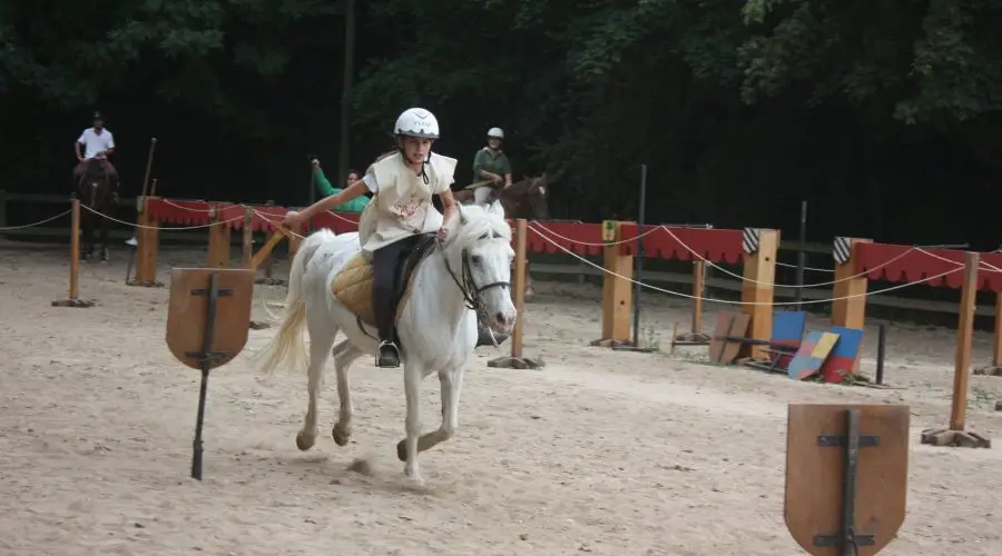 Equestrian Center Des Champs Forts