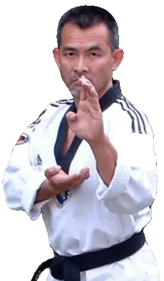 Association De Taekwon-Do Du Val D'oise