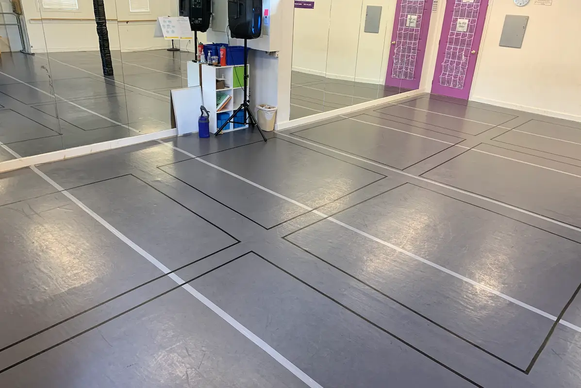 The DanceRoom
