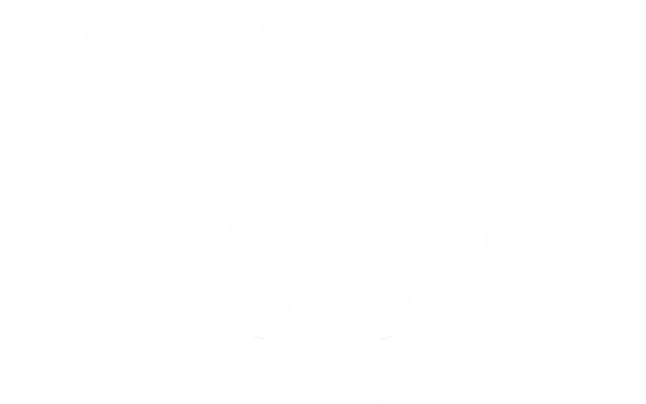 Bodhi Bodies Strength, Yoga, & Wellness