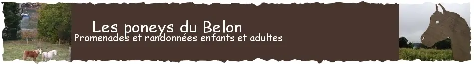 Les Poneys du Belon