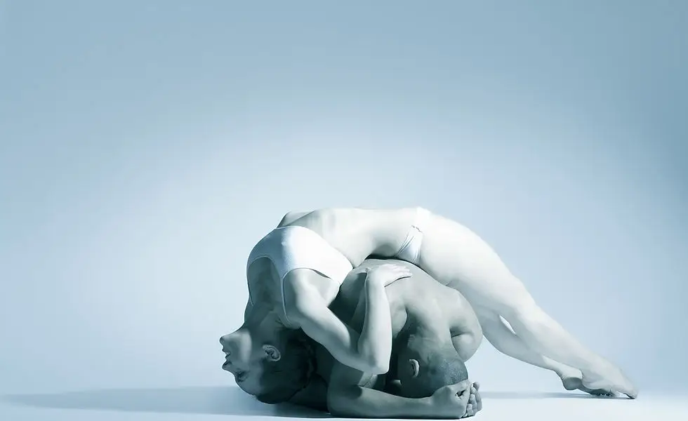 Espace De La Danse
