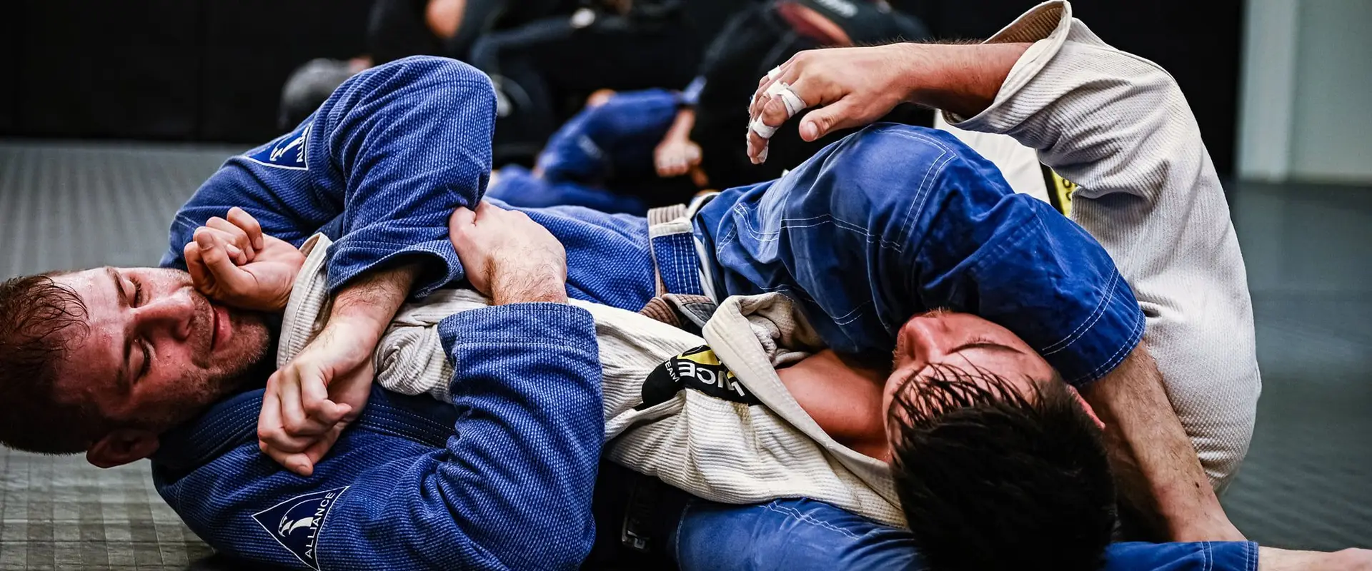 Alliance Vancouver Brazilian Jiu Jitsu