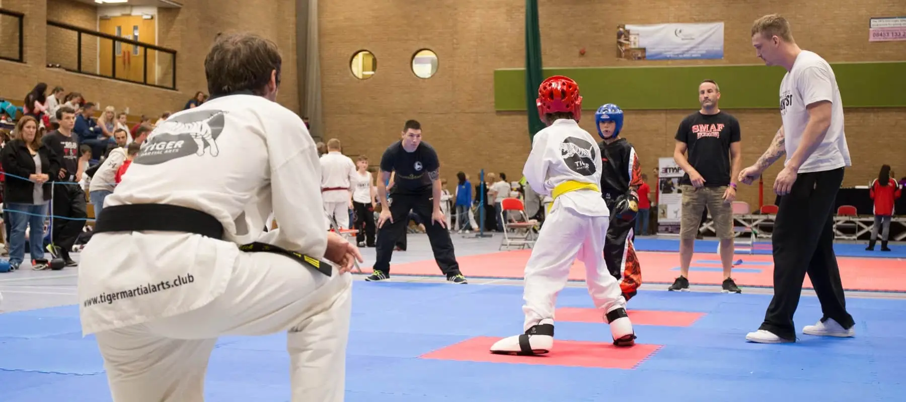 Tiger Martial Arts  Freestyle Tae Kwon-Do Melksham