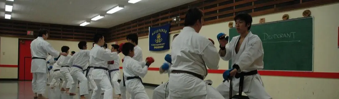 WSK Sekishinkan Karate - Richmond Oval
