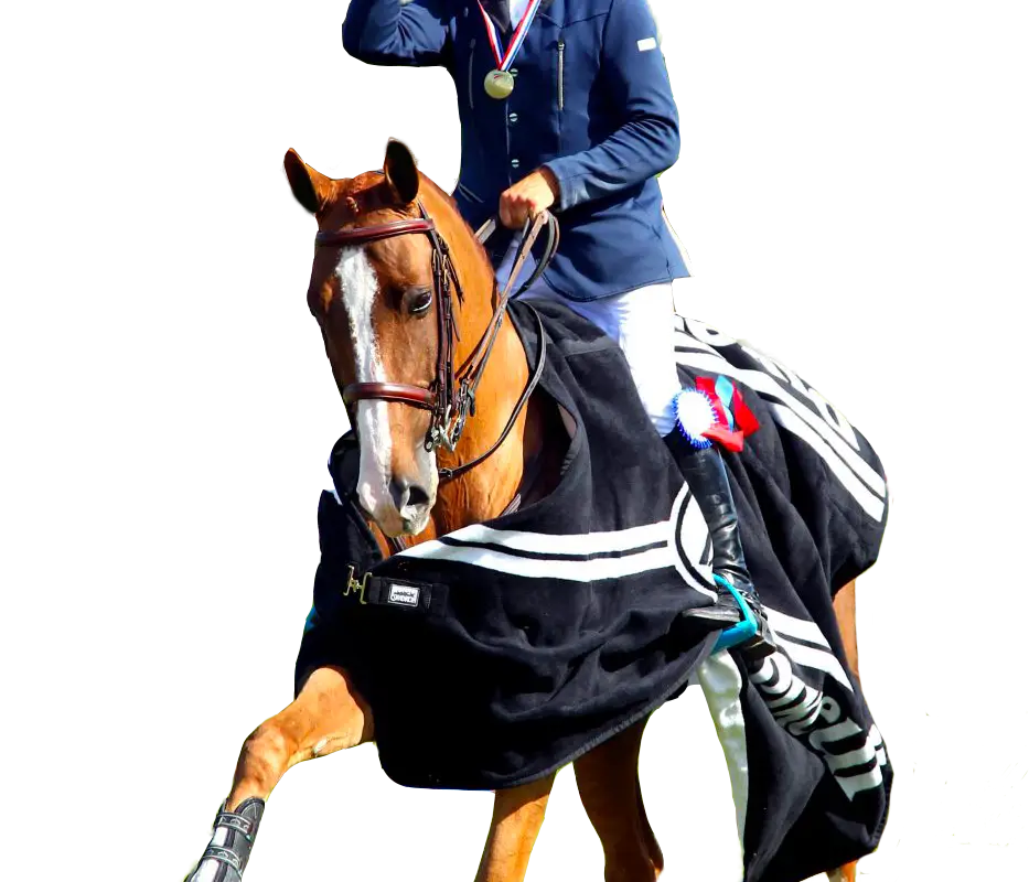 Bruno Broucqsault