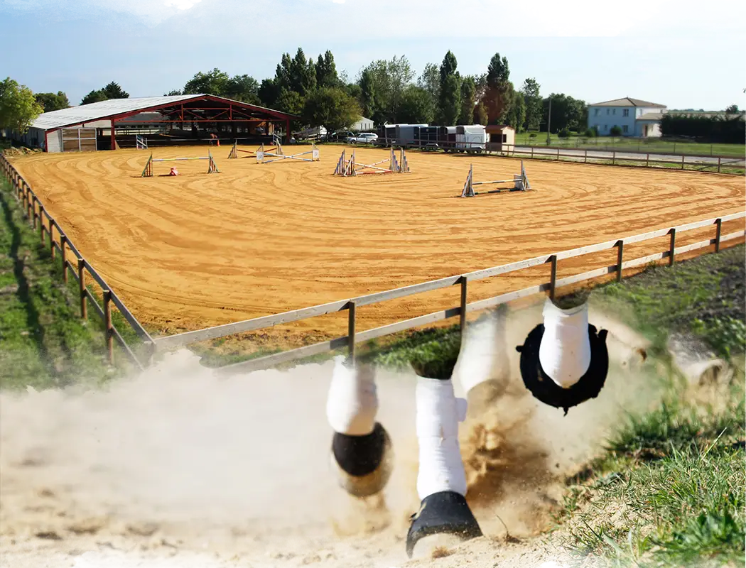 La Ferme De L'etang