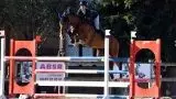 Etrier D'aubagne