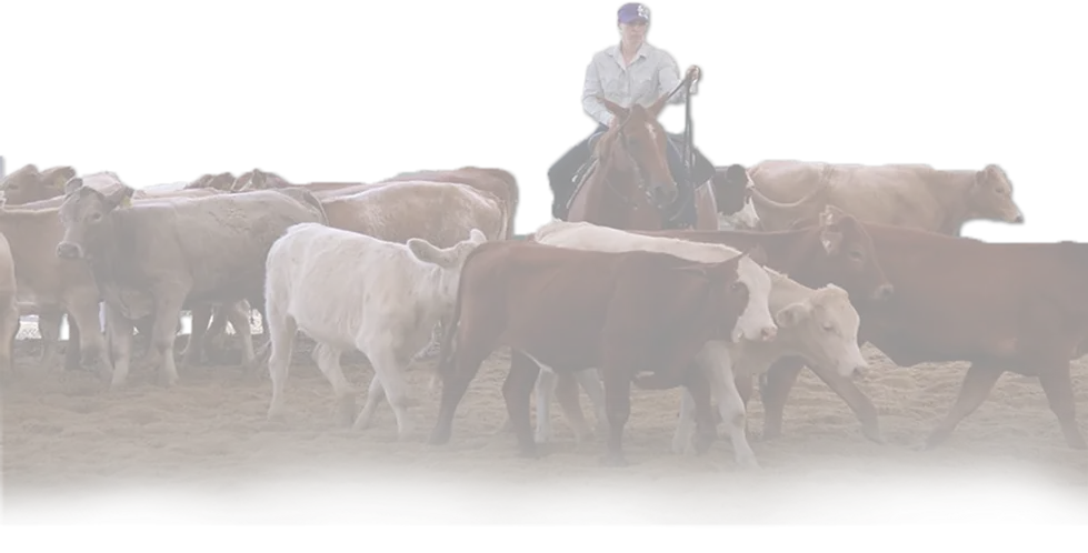 The Beaudesert Cutting and Western Performance Club