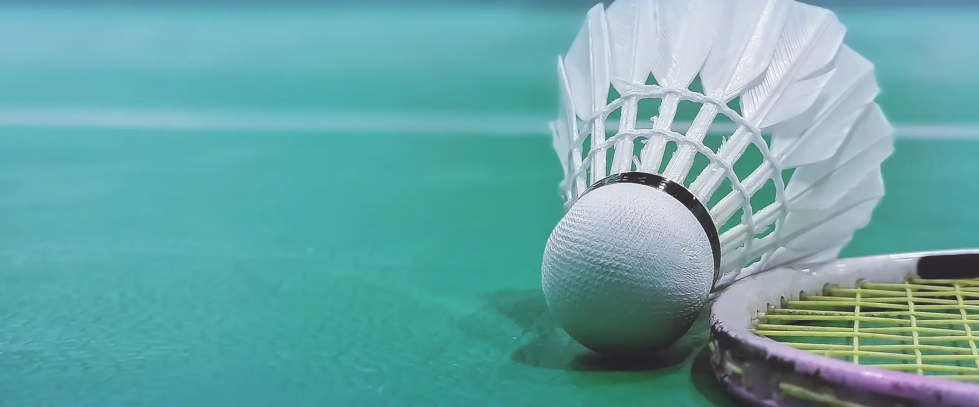 NT Badminton Association