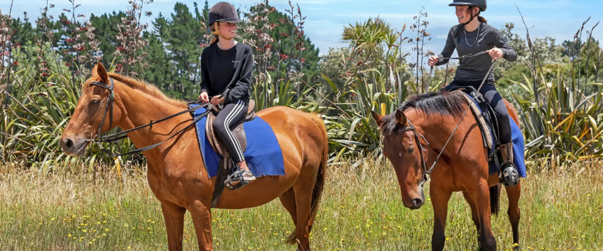 Waipu Horse Adventures
