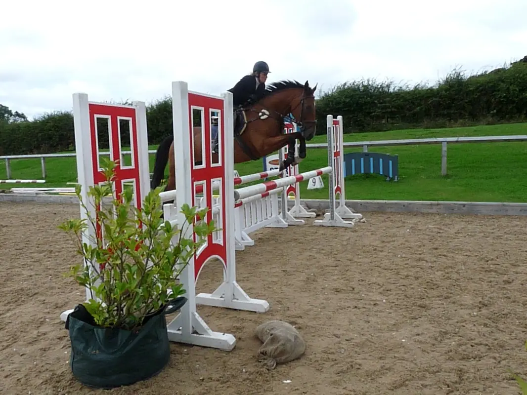 Handley Equestrian
