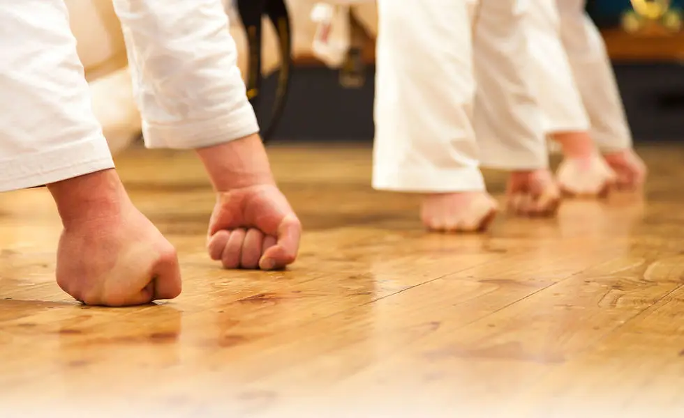 N Z Seido Karate Shibu