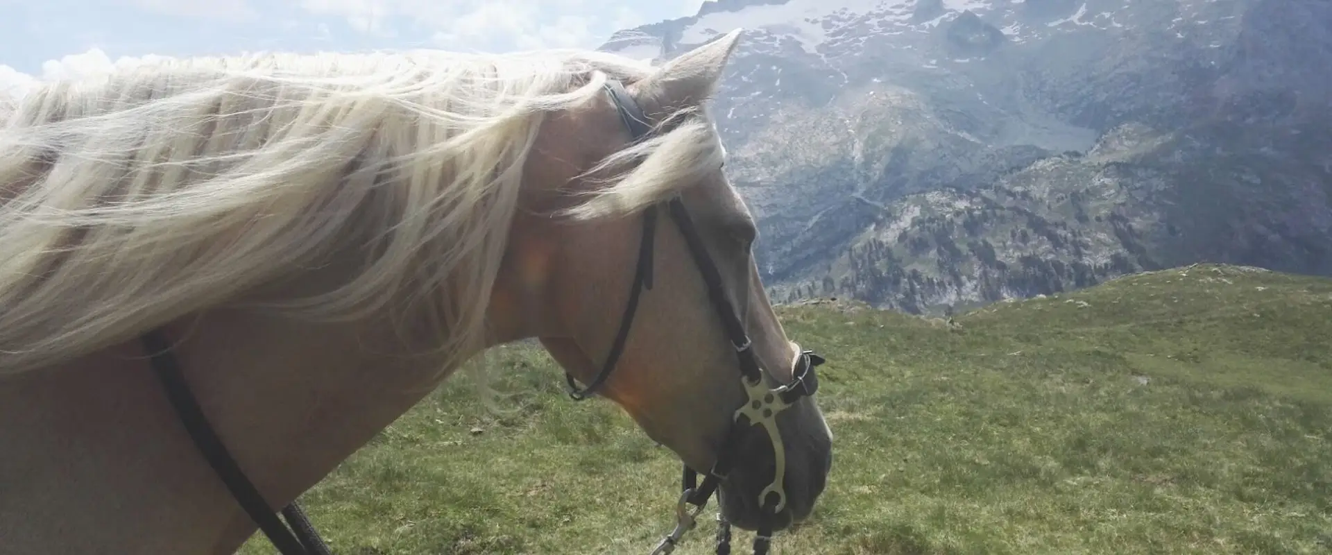 Les chemins de Diva