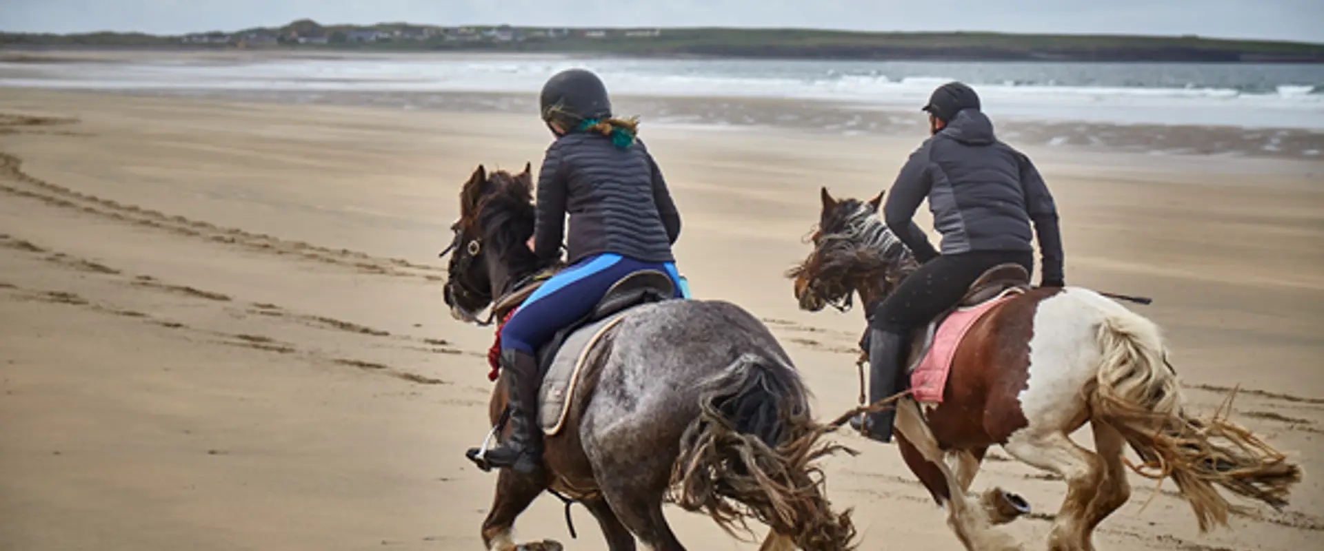 Island View Riding Stables