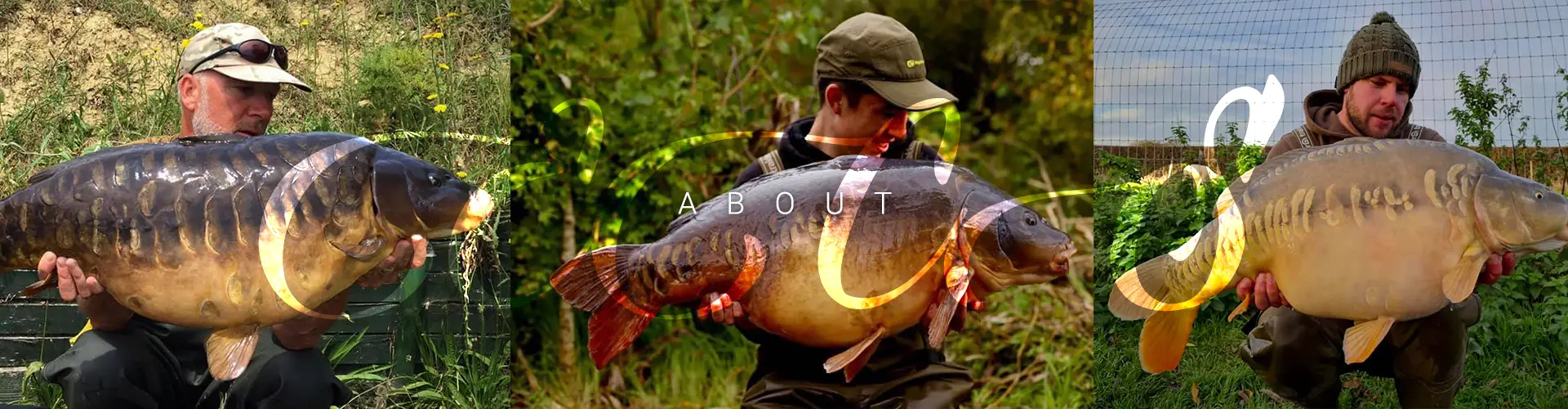 The Mill Carp Fishery