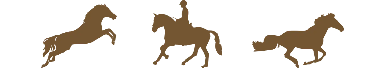 Parkside Stables Ltd