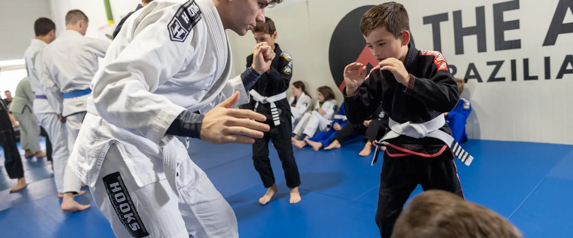 The Agoge Brazilian Jiu-Jitsu- Martial Arts School