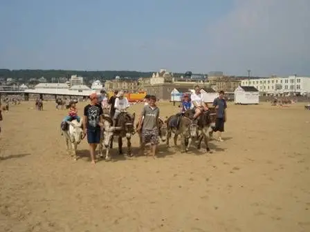 Weston Donkeys (RG Mager & Sons)