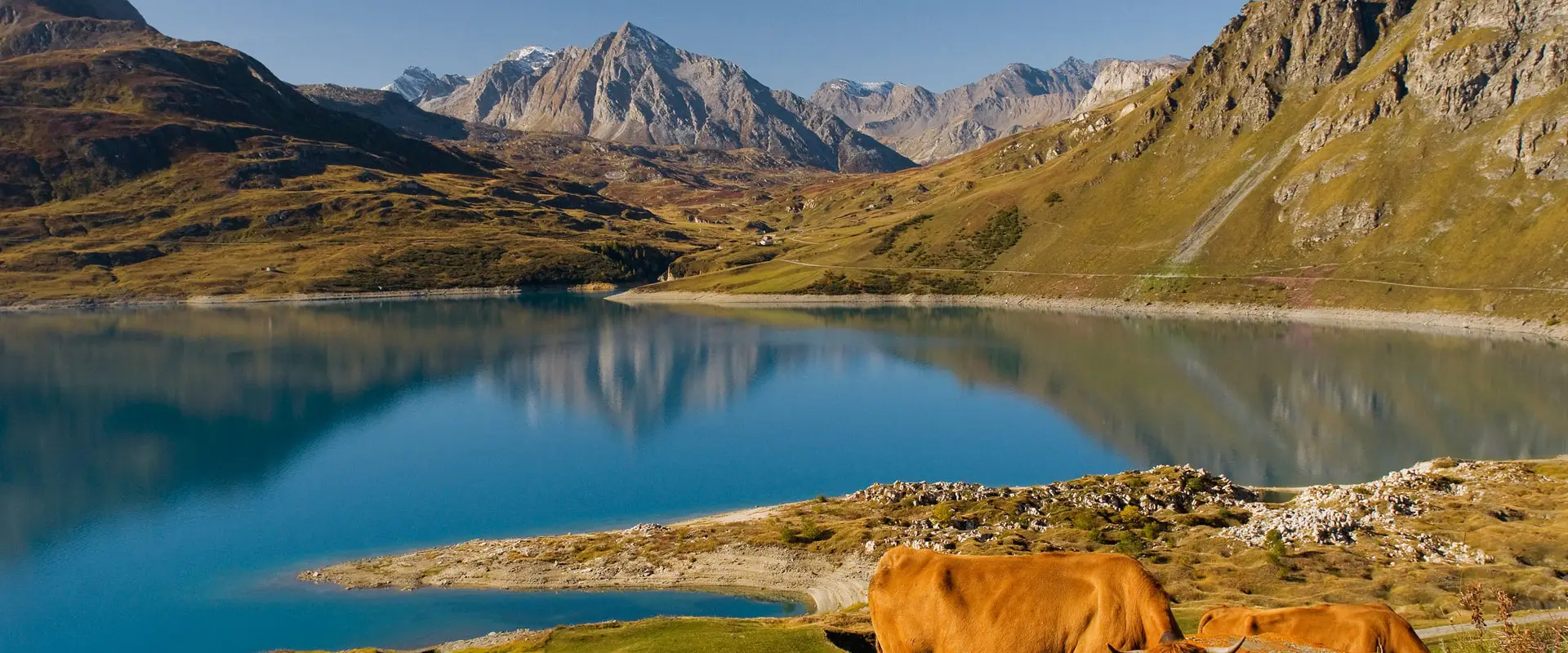 Fédération de Savoie pour la Pêche et la Protection du Milieu Aquatique