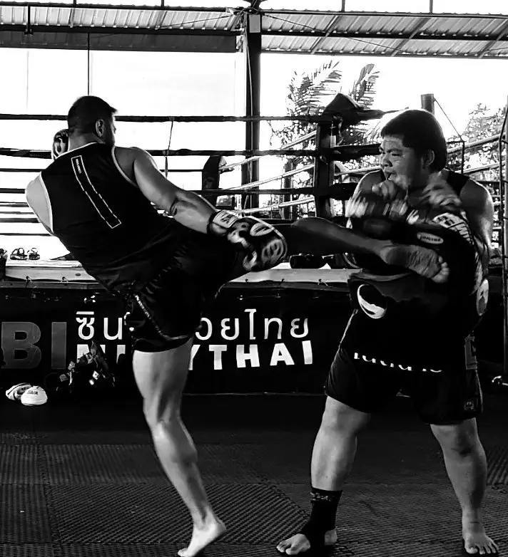 Kingdom Muay Thai and Fitness (Richmond Hill)