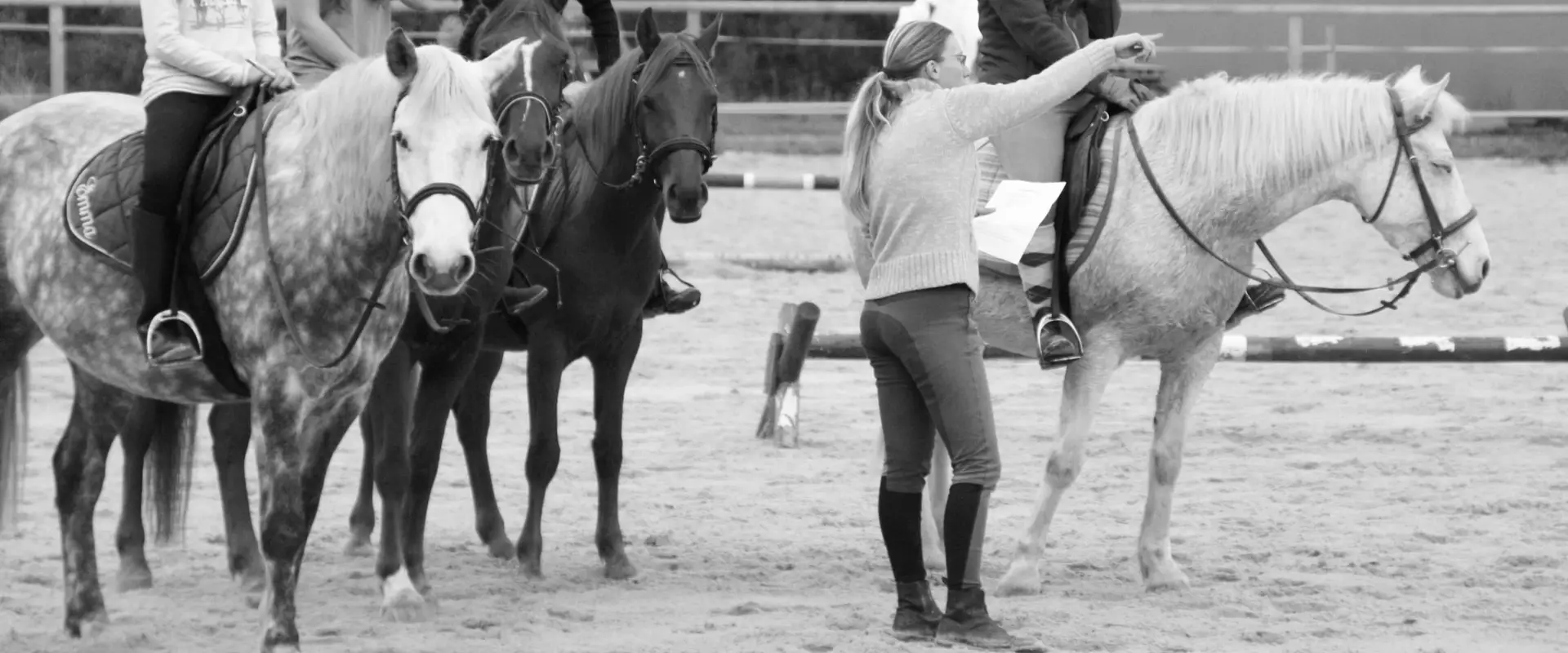 Equestrian Center - Les Ecuries De Mandy