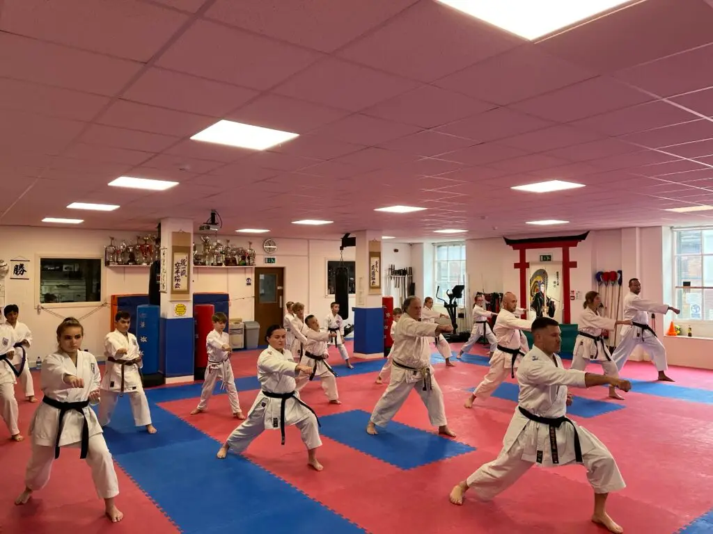 USKA - United Styles Karate Academy