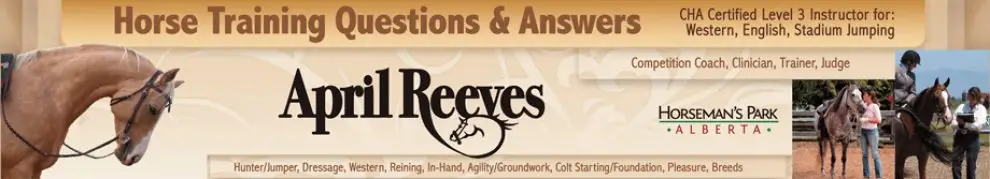 April Reeves Horse Training: Horseman's Park Alberta