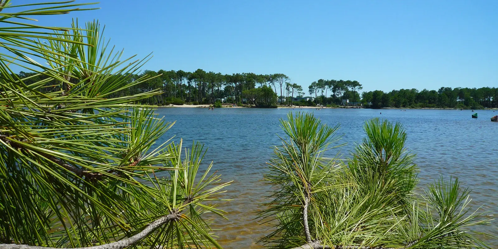 Cris Loisirs Location Stand Up Paddle Et Kayak Plage Du Moutchic