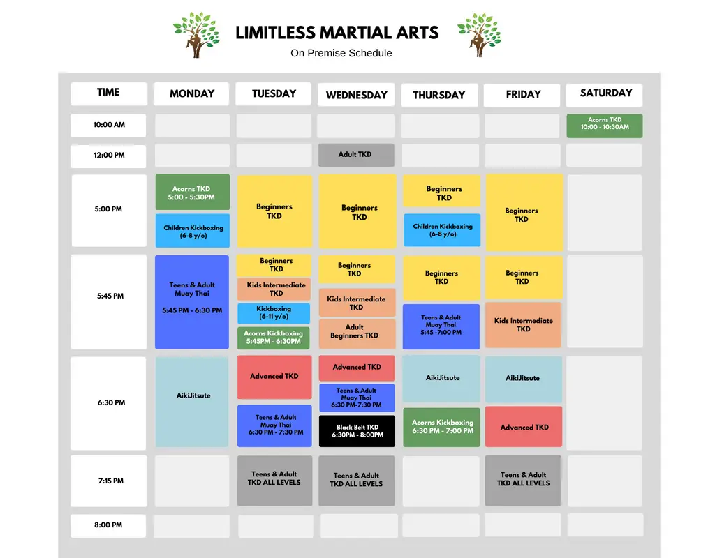 Mississauga Taekwondo, Kickboxing & Muay Thai