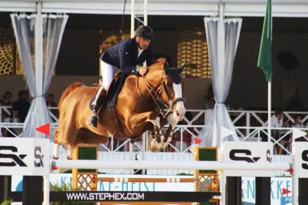 Ecurie Walter Lapertot School Riding Wl